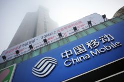 (9分钟教程)迪庆藏族自治州官网_哔哩哔哩-3